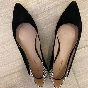 Pointed toe flats for work